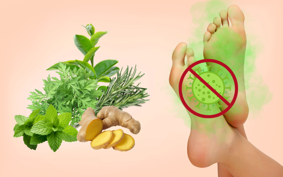 Effective and Easily Accessible Herbs for Eliminating Foot Odor Effective and Easily Accessible Herbs for Eliminating Foot Odor