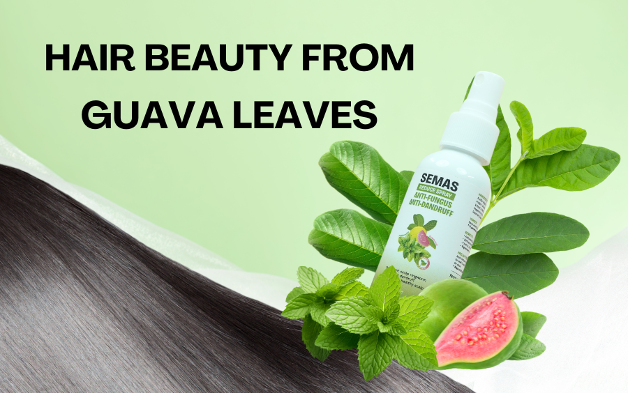HAIR BEAUTY FROM GUAVA LEAVES: THE NATURAL SECRET FOR SMOOTH HAIR AND CLEAN SCALP HAIR BEAUTY FROM GUAVA LEAVES: THE NATURAL SECRET FOR SMOOTH HAIR AND CLEAN SCALP